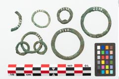 Foto von Bronzering (NHMW-PRAE-002236)